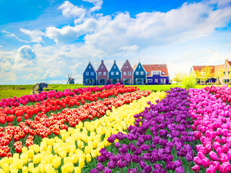 Similar image 22622650