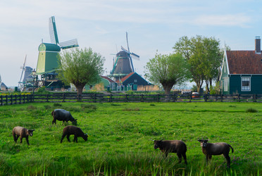 Similar image 22622651