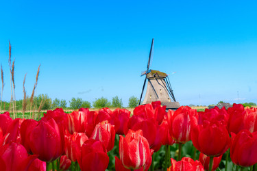 Similar image 22622660