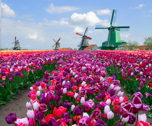 Similar image 22622661