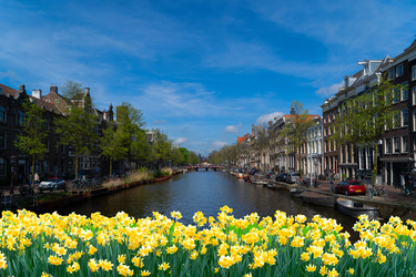 Similar image 22622663