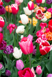 Similar image 22622667