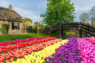 Similar image 22622668