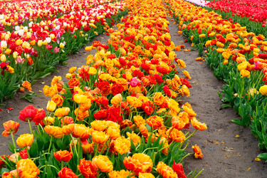 Similar image 22622675