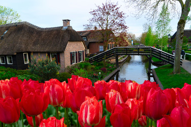 Similar image 22622677