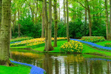 Similar image 22622678