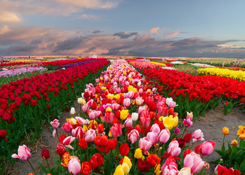 Similar image 22622679