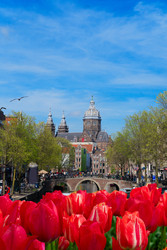 Similar image 22622680