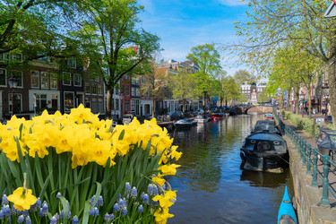 Similar image 22622690