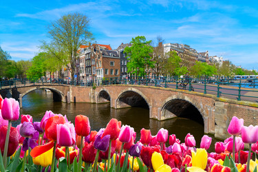 Similar image 22622691