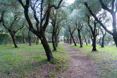 Similar image 22622710