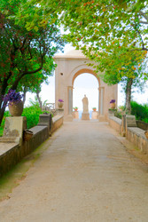 Similar image 22622737