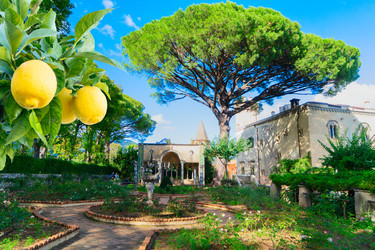 Similar image 22622752