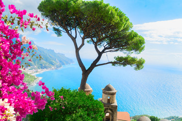 Similar image 22622754