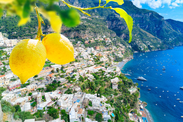 Similar image 22622765