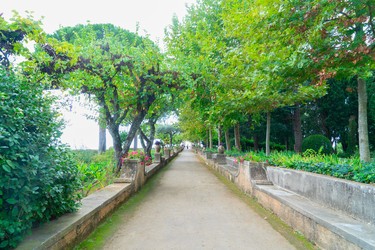 Similar image 22622766