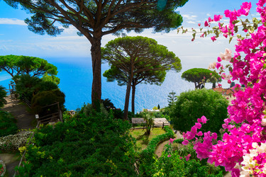 Similar image 22622768