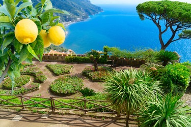 Similar image 22622769