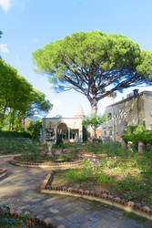 Similar image 22622782