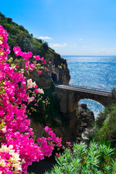 Similar image 22622783