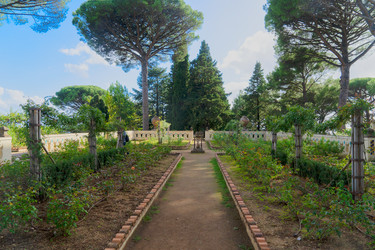 Similar image 22622785