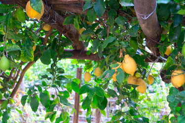 Similar image 22622797