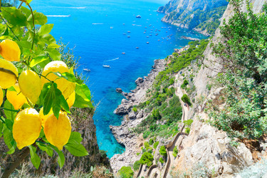 Similar image 22622812