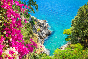 Similar image 22622813