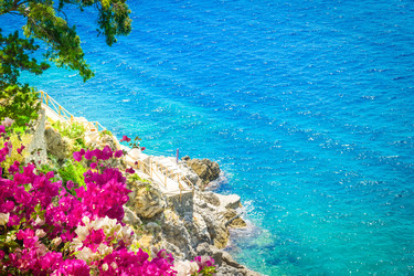 Similar image 22622814