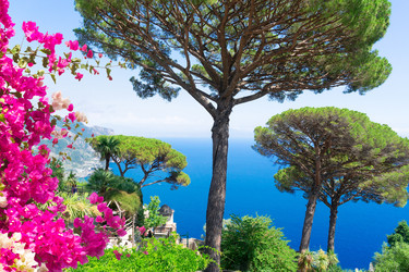 Similar image 22622840