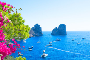 Similar image 22622858