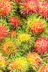 Similar image 22608752