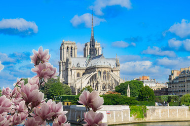 Similar image 22622871