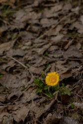 Similar image 22610680