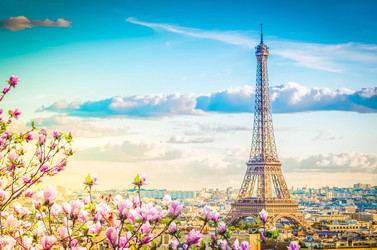 Similar image 22622901