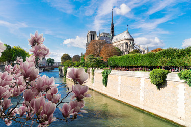 Similar image 22622933