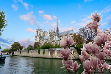 Similar image 22622962