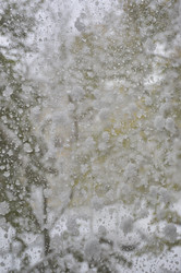 Similar image 22615086