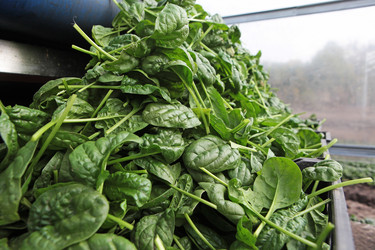 Similar image 22611805