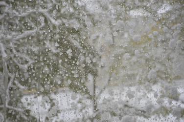 Similar image 22610739