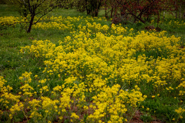 Similar image 22619891