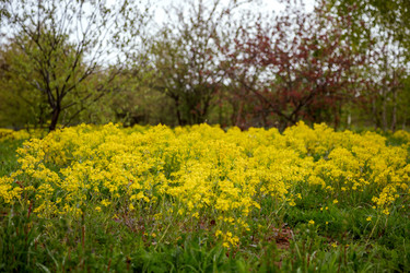 Similar image 22619900