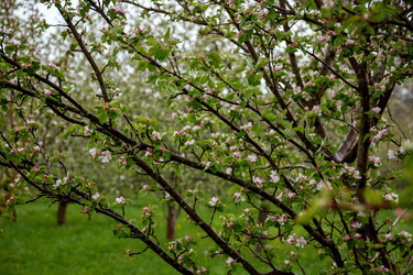 Similar image 22619902