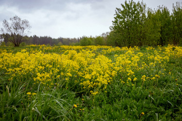 Similar image 22619905