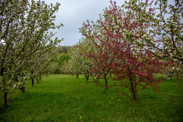 Similar image 22619907