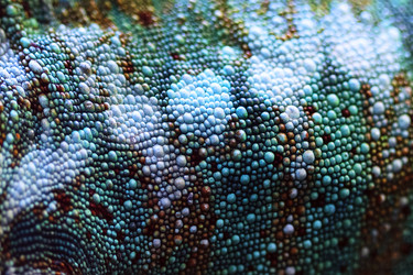 Similar image 22611825