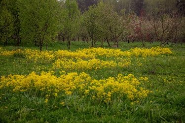 Similar image 22619911