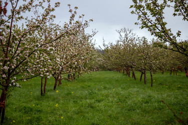 Similar image 22619912