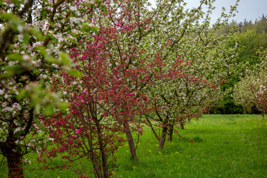 Similar image 22619913