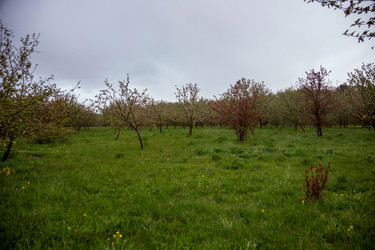 Similar image 22619914